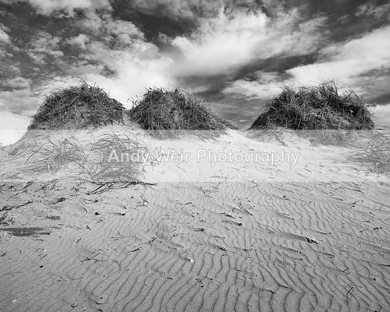 20141003-3K8A6398-3103-3104 - England