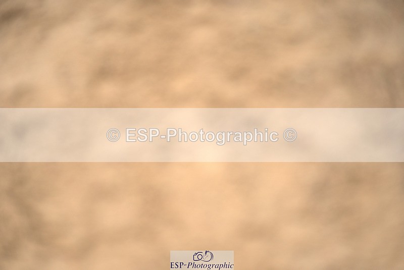 240317A-104241-05034 - Cls 25 Snr 1.20m Open