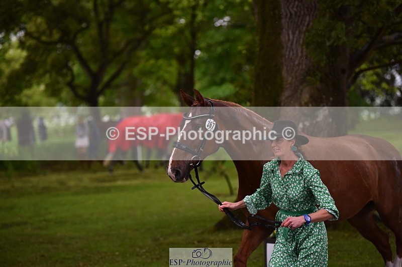 240522-153258-00421 - 367-CROSSTOWN_FINTANS_LAST-Catherine_Burrell