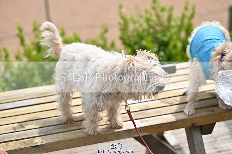 ESP_6713 - Candid