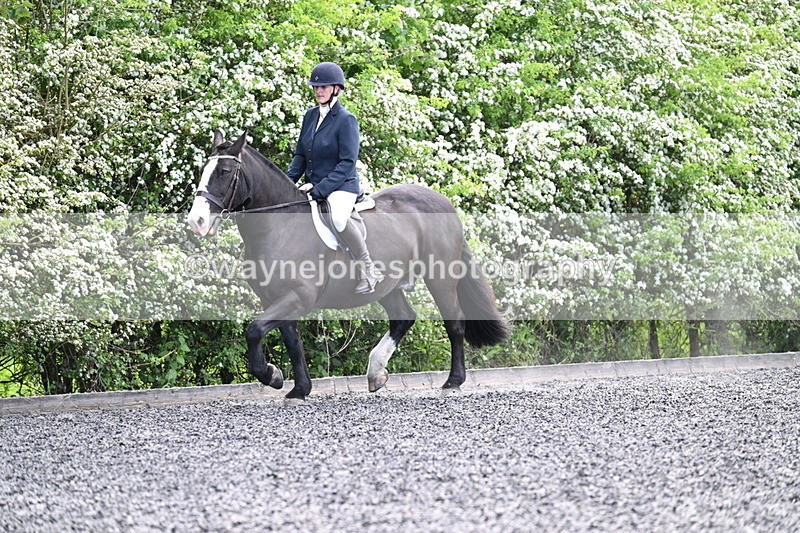 WJ7_9002 - Time 11:32 to 11:54