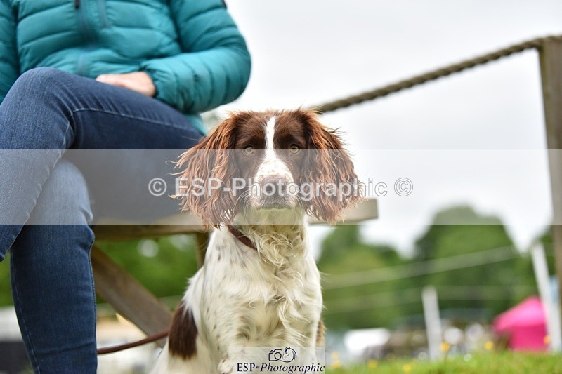 240523-193454-06593 - Candid and Saturday Hobby Horse