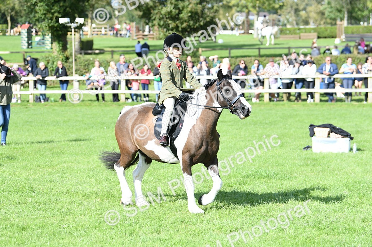 SBM_50289 - S21 - Novice & Newcomers 1st Ridden Pony