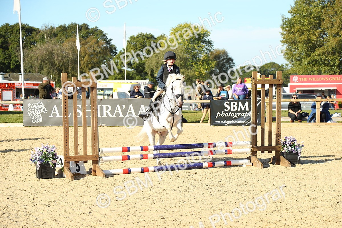 SBM_35836 - J5 - Junior Pony 50cm Championship