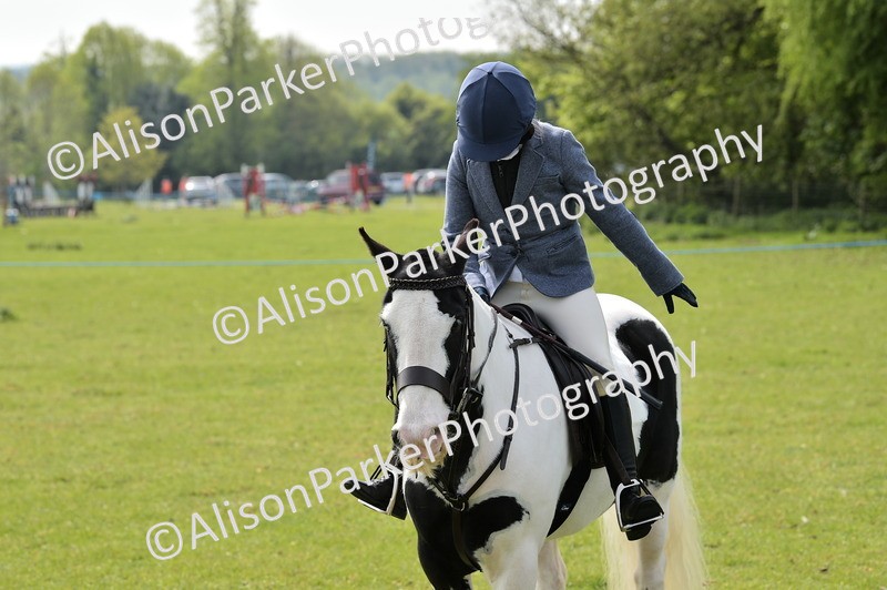 20260426-2279 - Class 20 - Beginner Working Hunter