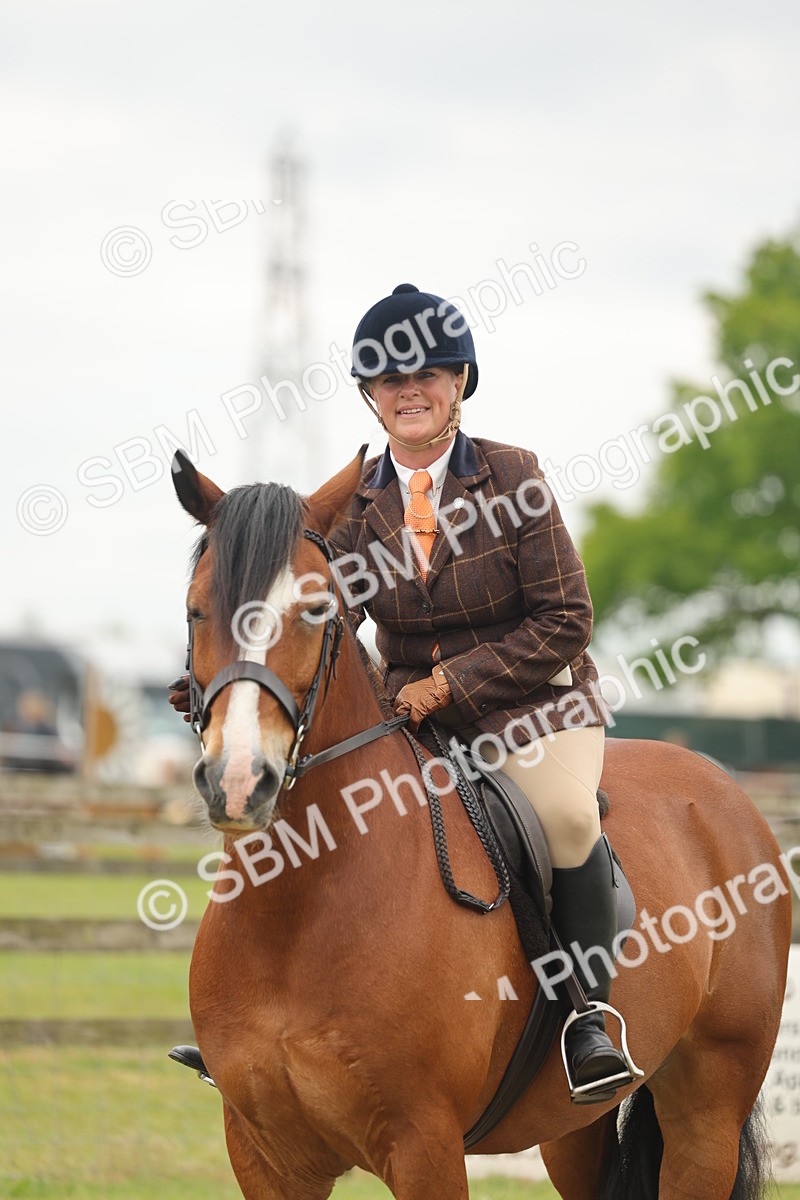 SBM_07247 - Class 76-77 - Ridden M&M Welsh Ponies