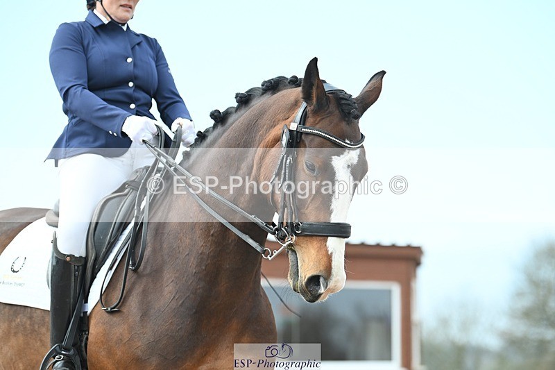 250403-095200-01041 - 037-Fay.Lai-Greenlanes.Lullaby