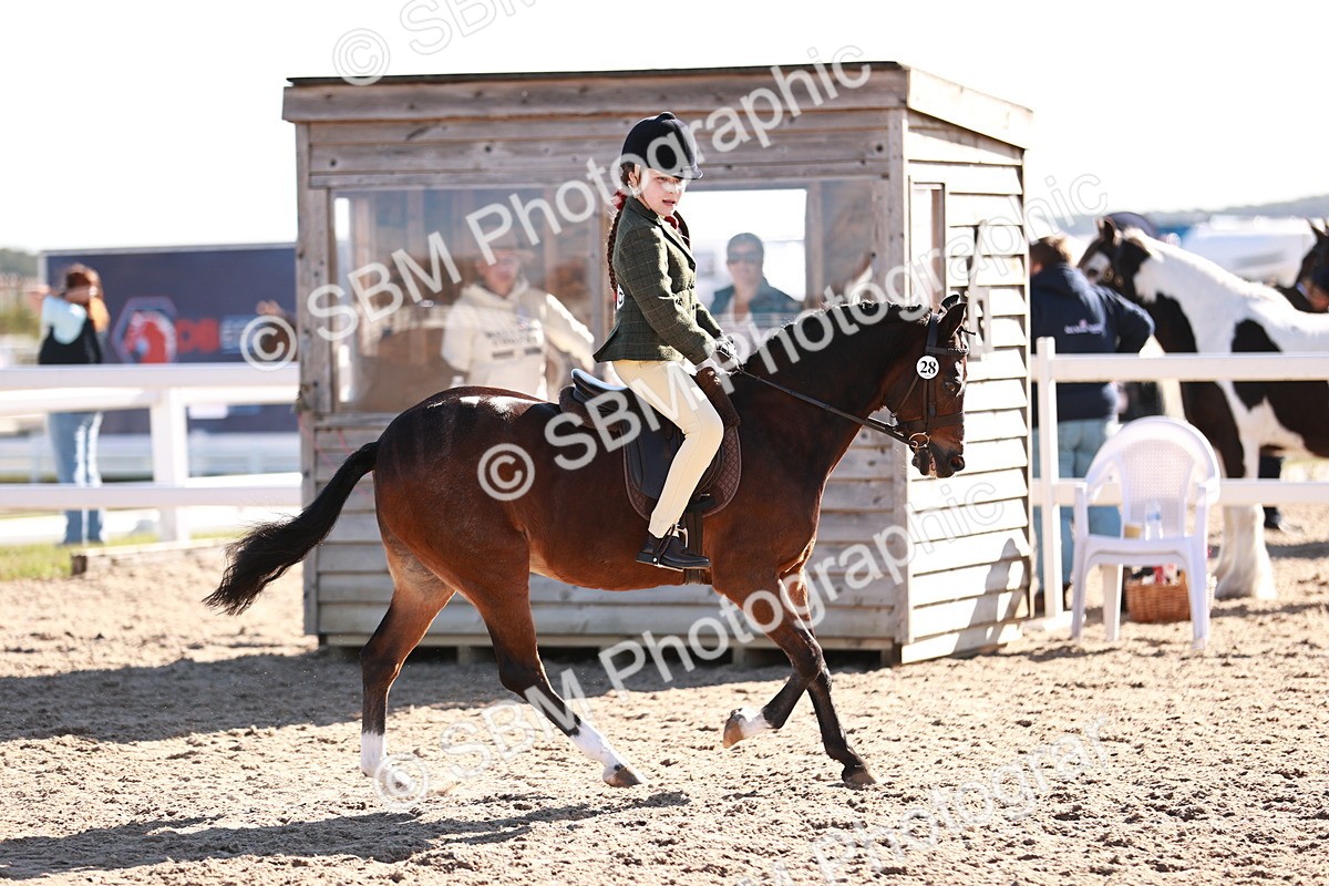 SBM_12496 - Class 403 - Grassroots Ridden - Junior