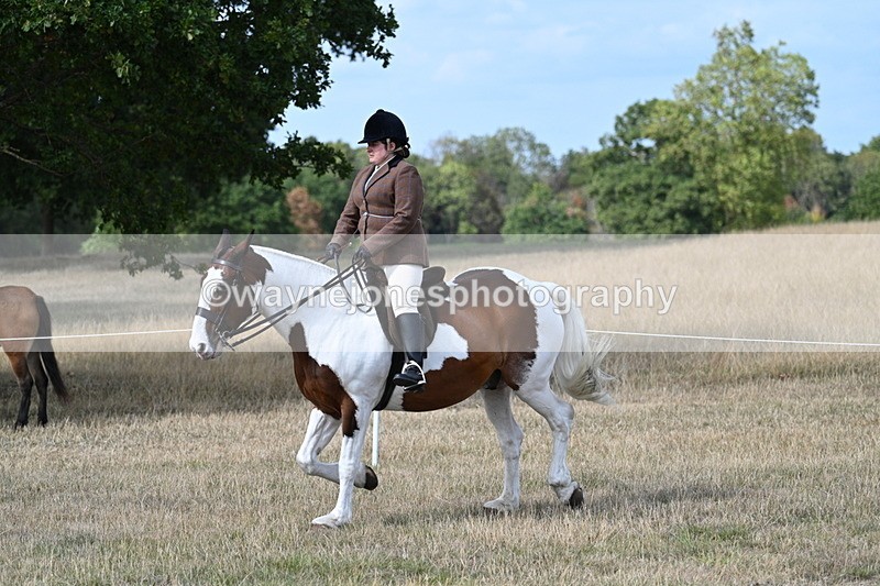 WJ7_7055 - Class 14 Ridden Coloured