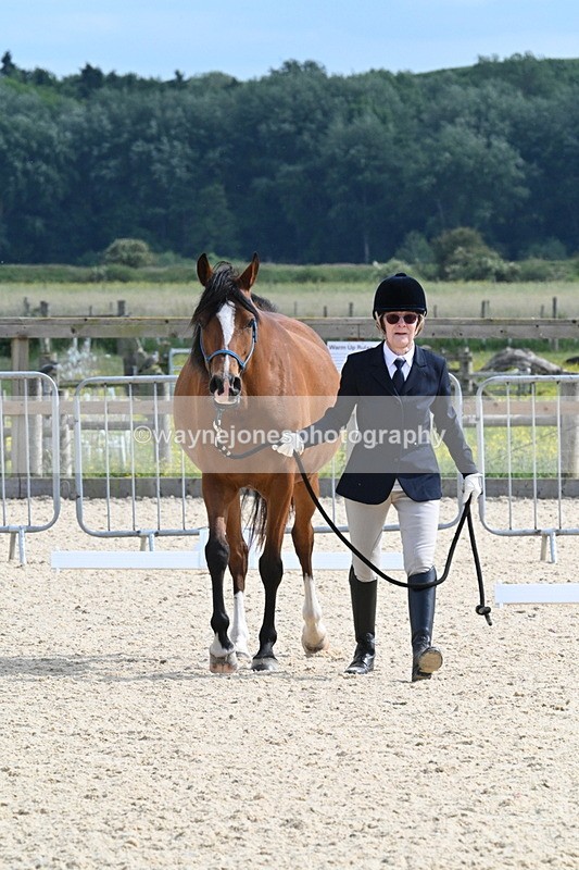 WJ7_8221 - Time 16:10 to 16:25