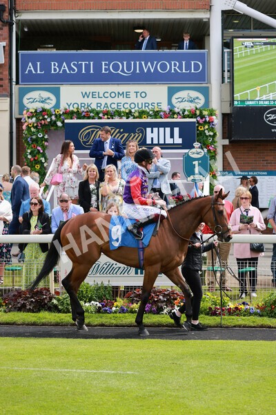 yr21052022r2-14 - Race 2: 2:20pm William Hill Bet Boost Stakes