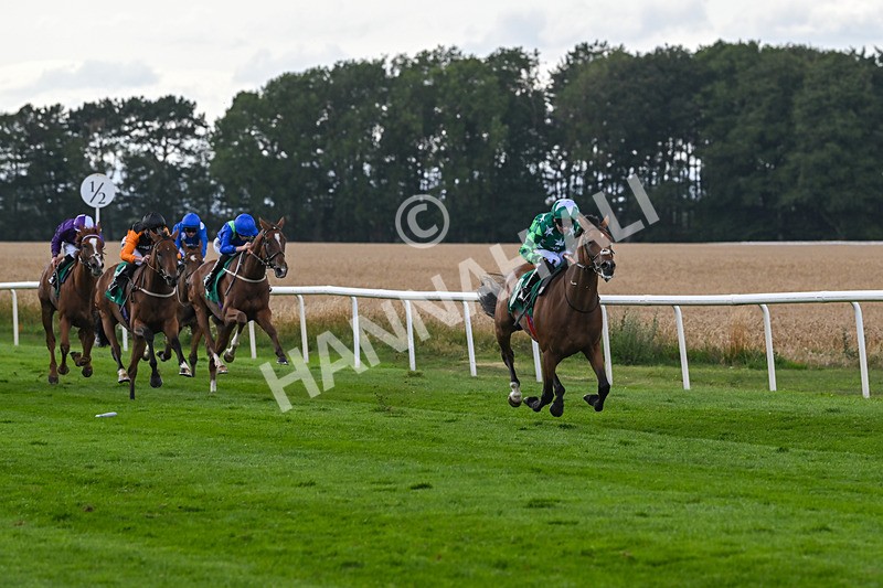 080825-Race 5-Paddy The Squire-2647 - Race 5