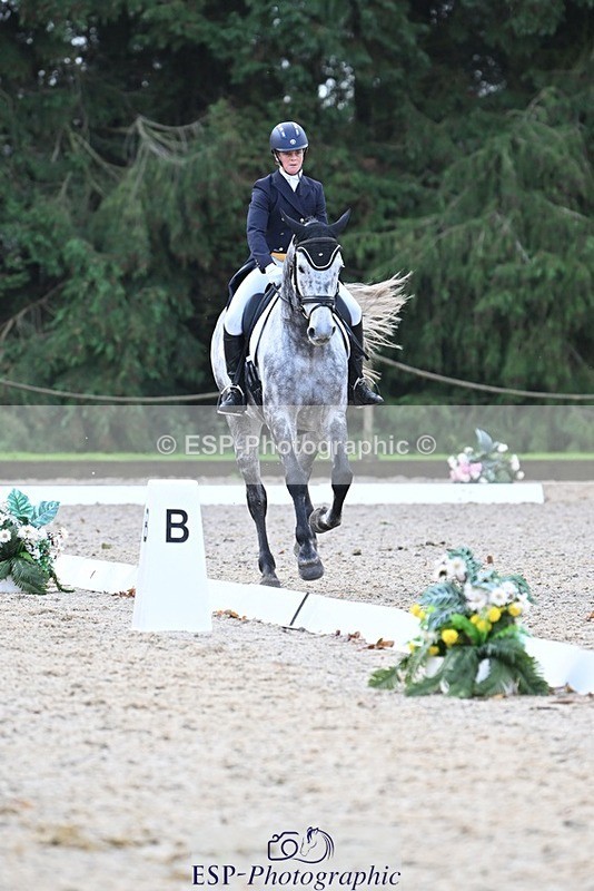 231019-095104-01235 - 028-BOLEYBAWN.COOLEY.LADY-Claire.Fielding-DR