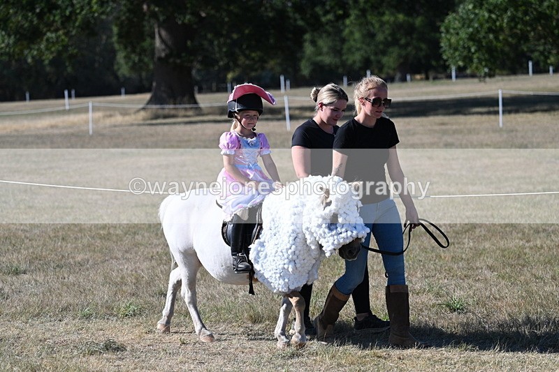 WJ7_2506 - Class 45 Fancy Dress (My Fav)