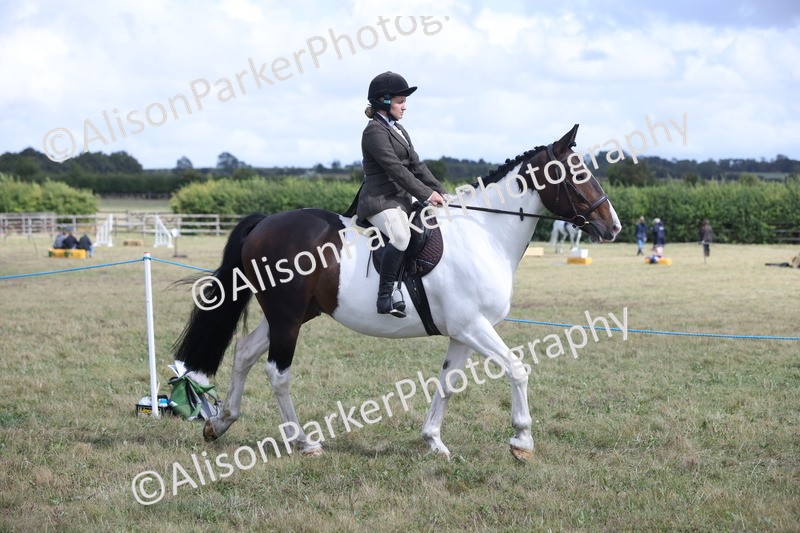 20250831-4174 - Class 20 - Ridden Coloured