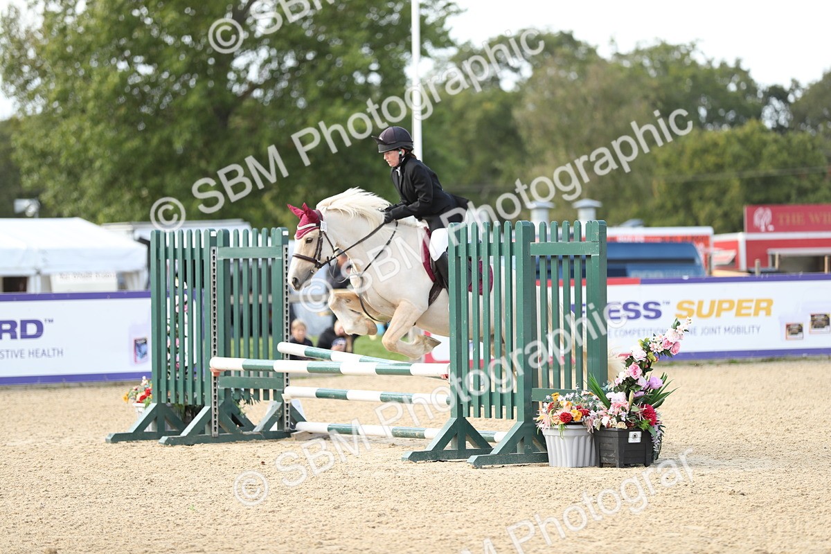 SBM_08480 - J30 - Senior Horse & Pony 70cm Championship