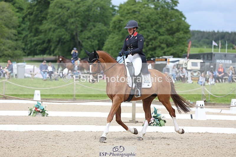 240524-103455-07443 - 263-CHILLI_MORNING_IV-Gemma_Stevens