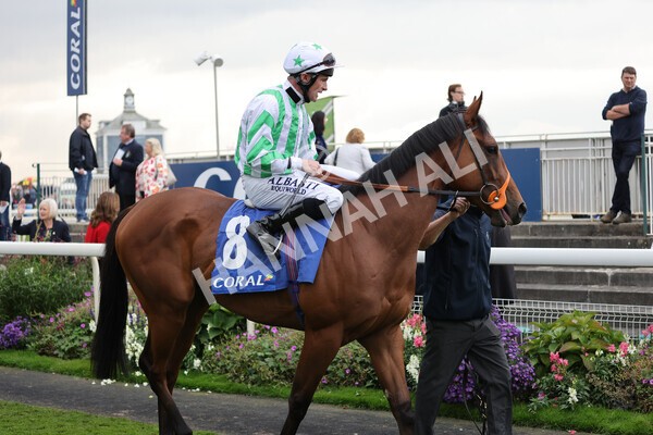 yr09102021r2-7 - Race 2 2.02pm Coral Beaten-By-A-Length Free Bet Rockingham Stakes