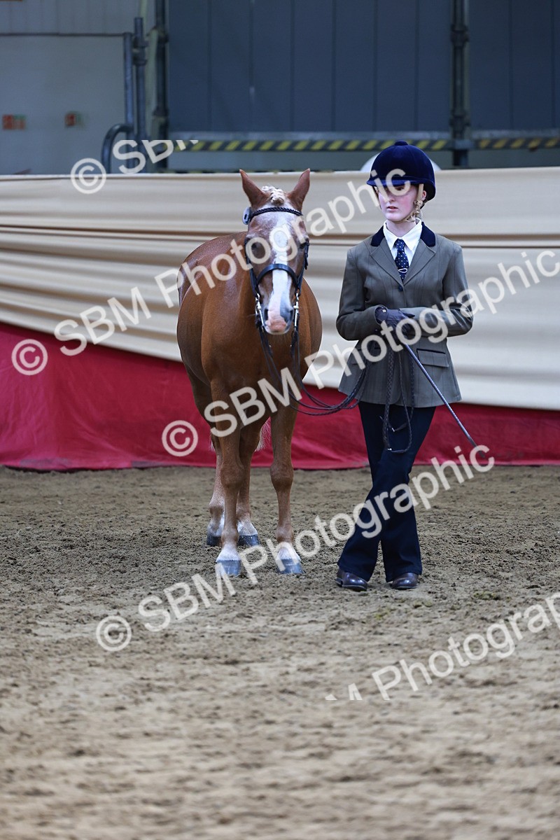 SBM_22390 - Class 902 - Supreme Final - IH Diamond