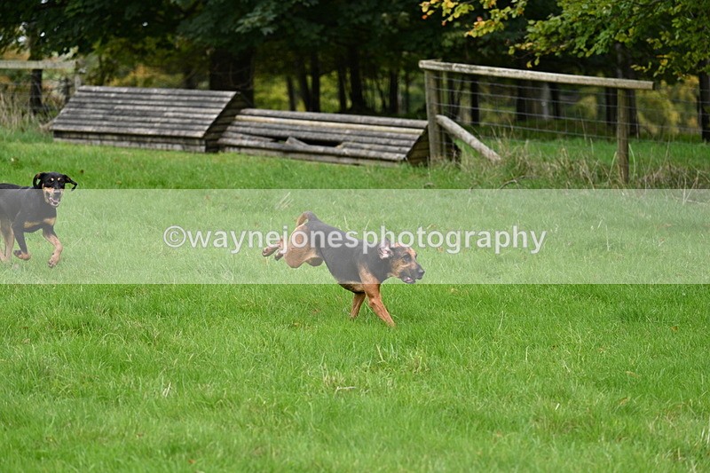 WJ7_4376 - Camera 1 Line 3