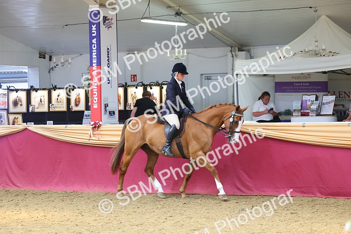 SBM_24029 - Class 905 - Supreme Final - Ridden Veteran