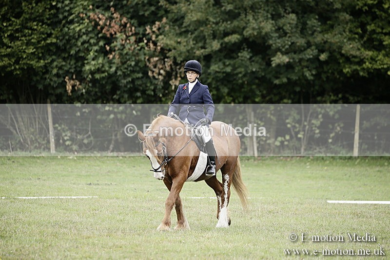 BVR080918 45 - BVRC Novice Dressage & CR 08/09/18