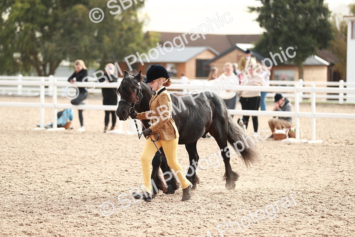 SBM_10544 - Class 204 Young Handler, 11-16 years