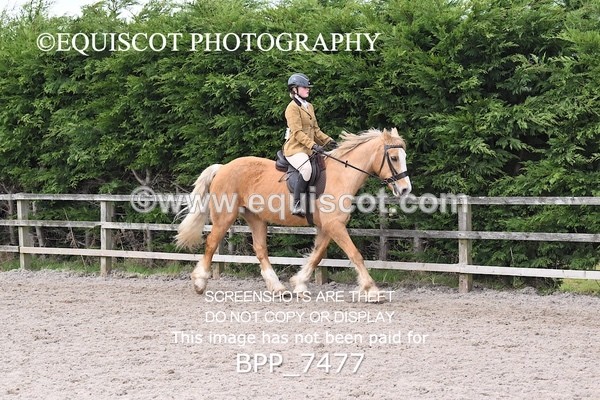 BPP_7477 - RING 1  (RIDDEN HORSES / IN HAND / VETERAN ETC)