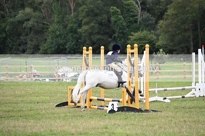 WJ6_0381 - 40cm Time 10:29 to 10:52