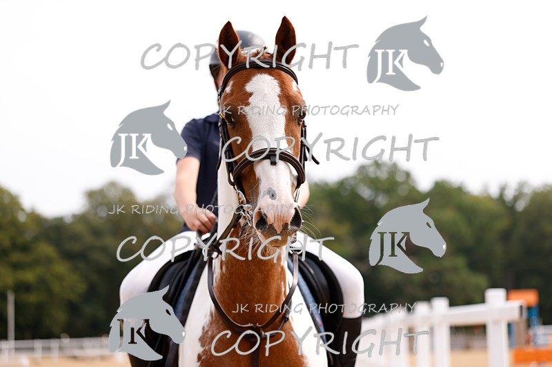 _R6A2586 - Dressage Morning
