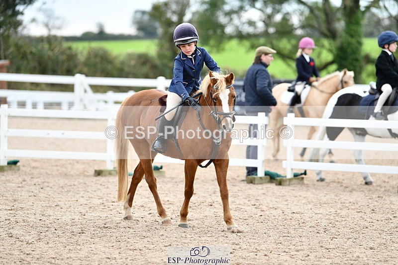 241013B-124949-01055 - Cls 3 50cm