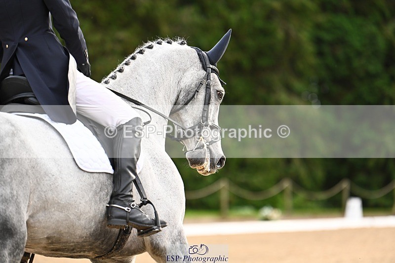 231021-135359-18585 - 248-KINGS.LANE-Liberty.Smith-DR