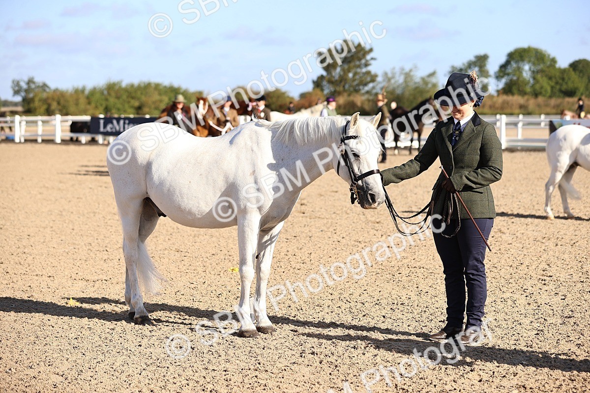 SBM_08493 - Class 402 - IH Veteran Pony