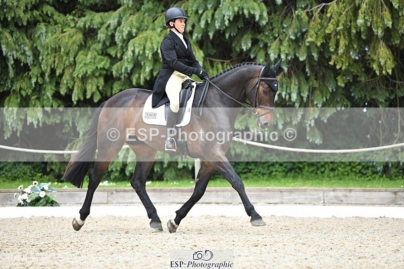 230525-152427-03243 - 326-GULLITH-Emily_Lochore-WEDTrotUp+DR