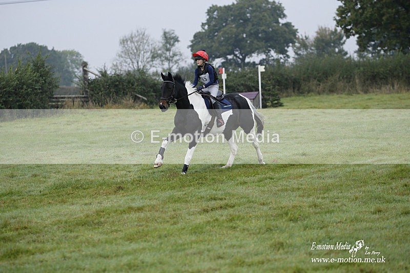 WWHT 171021 0096 - Novice Restricted (0.80m)  17/10/21