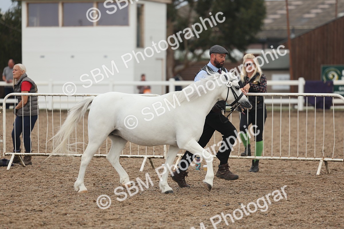SBM_08454 - Class 29 - IH Veteran Pony