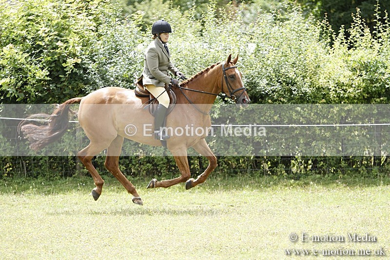 BVR160717-1828 - Ring 3 BVRC Show 16/07/17