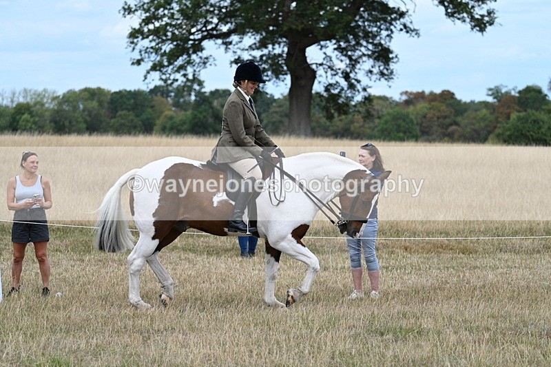 WJ7_4857 - Class 12 Ridden Cob