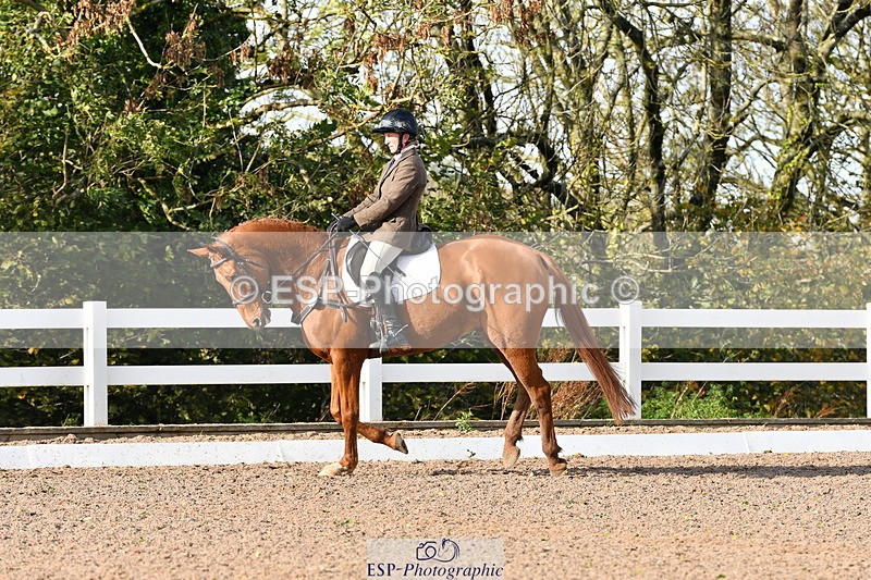 231104A-121511-00400 - Cls 7 Elementary 43