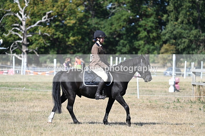 WJ7_3432 - Class 9 Mountain & Moorland Ridden