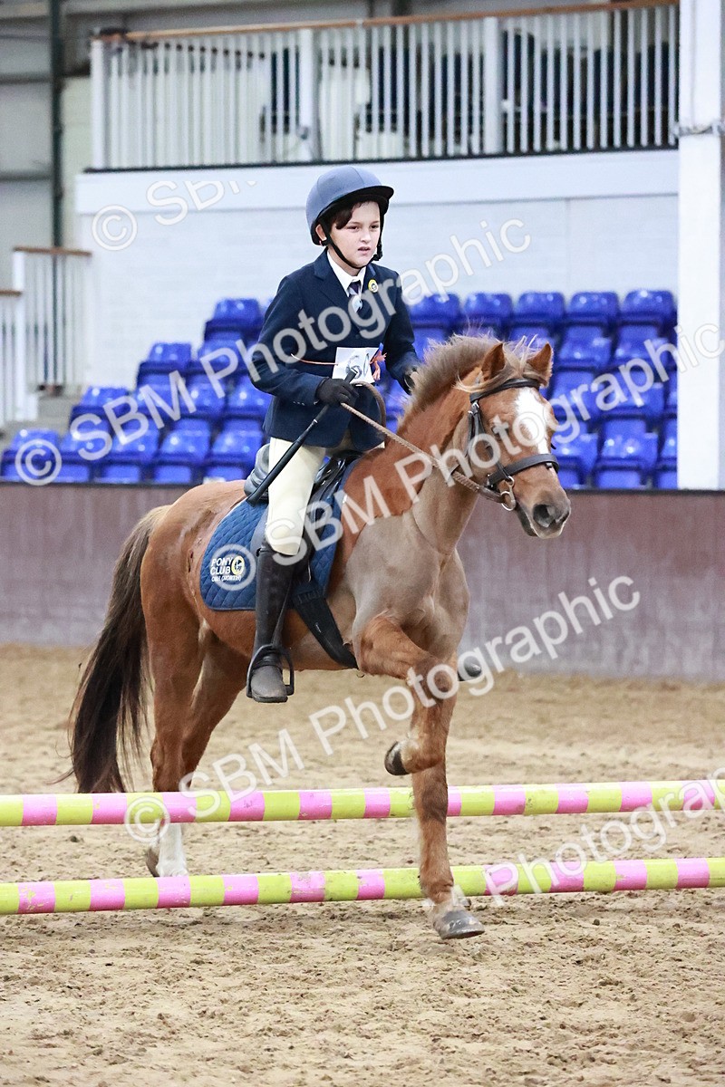 SBM_000560 - Class 2 - Show Jumping 50cm