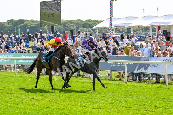 130625-Race 4-India Love-9244 - Race 4 3.35pm Juddmonte EBF Fillies' Restricted Novice Stakes