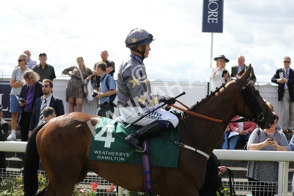 yr19082022r2-14 - Race 2 2.25pm Weatherbys Hamilton Lonsdale Cup (British Champions Series Race)