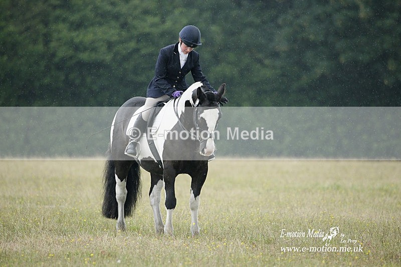 BVRC 030721 612 - Bourne Valley Riding Club Dressage 03/07/21
