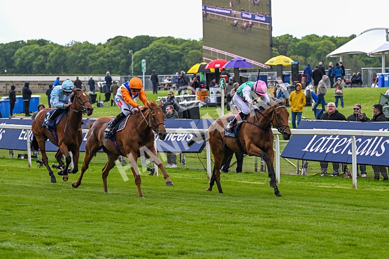 130526-Race 5-Legacy Link-3242 - Race 5 4.05pm Tattersalls Musidora Stakes