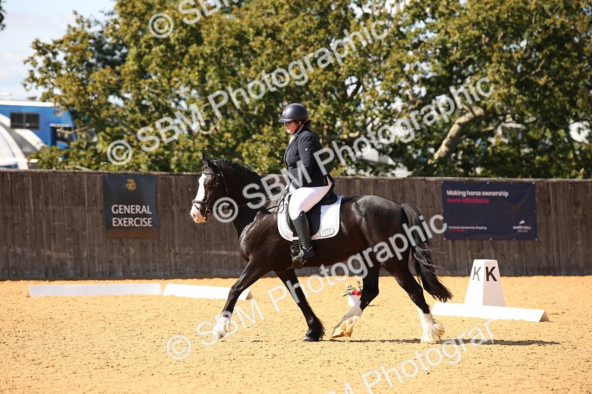 SBM_24235 - D5 - Small Tour Championship - Intro C