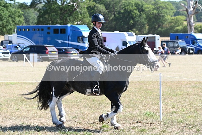 WJ6_8212 - Class 37a Best Loan Pony Ridden
