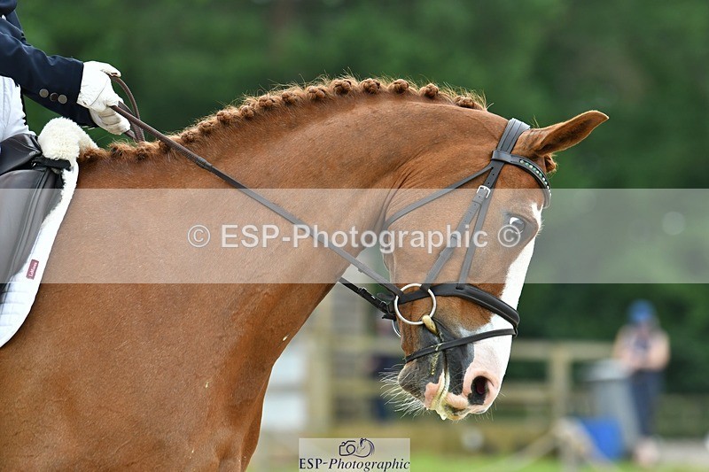 230525-122211-04234 - 208-NICO-Holly_Clarke-WEDTrotUp+DR