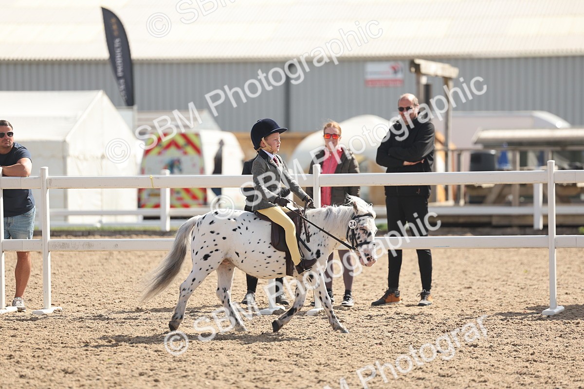 SBM_23129 - Class 806 - Young Rider 10ry and Under
