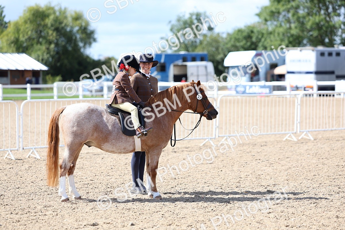 SBM_13030 - Class 309 - Lead Rein Pony